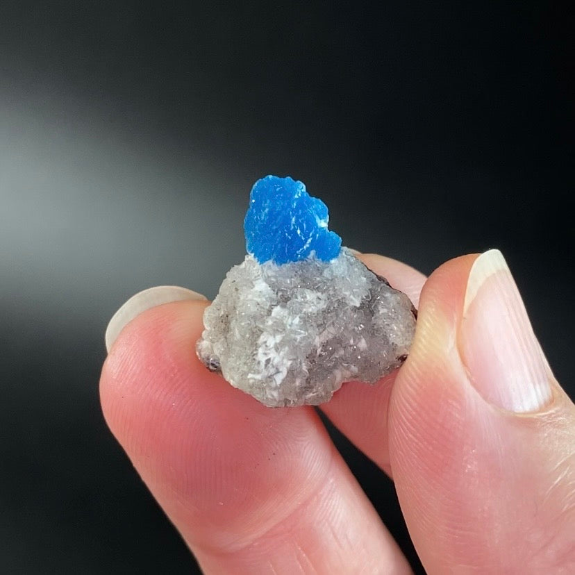 Vibrant Blue Cavansite Cluster on Druzy Stilbite & Basalt Matrix