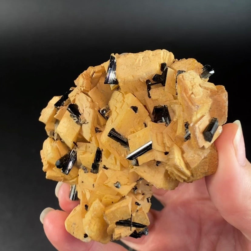 Black Tourmaline Schorl Crystals on Feldspar Matrix