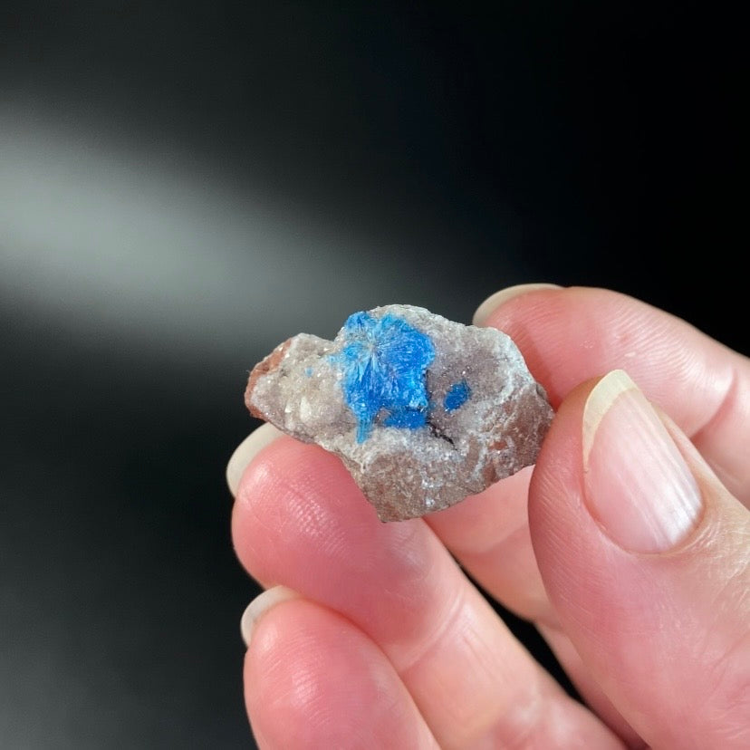 Vibrant Blue Cavansite / Pentagonite & Stilbite on Basalt Matrix