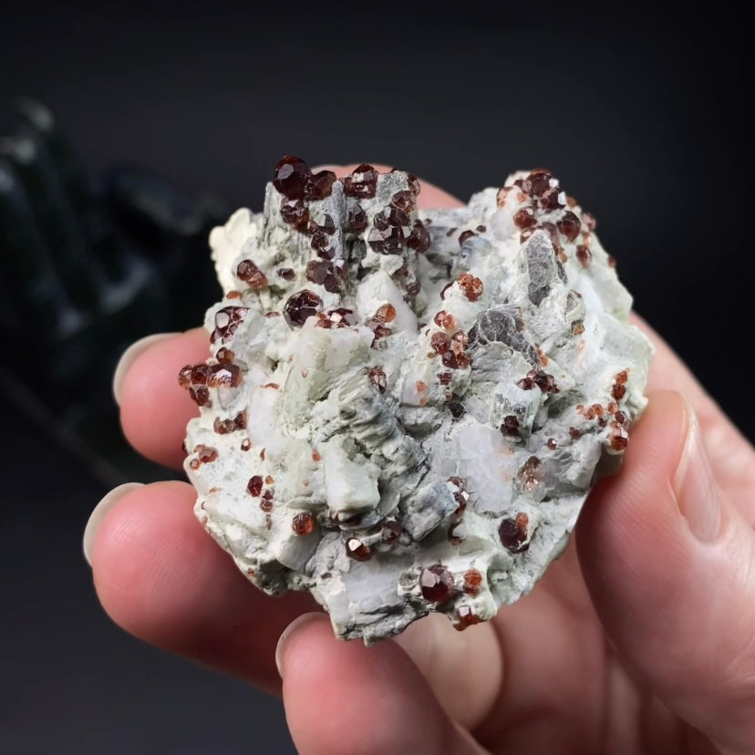 Red Garnets on Albite Matrix with Mica and Quartz