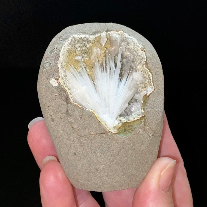 Radiating Scolecite Crystals with Clear Heulandite in Trimmed Basalt Pocket