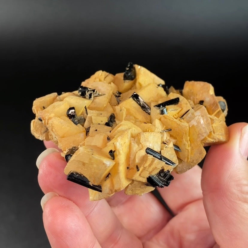Black Tourmaline Schorl Crystals on Feldspar Matrix