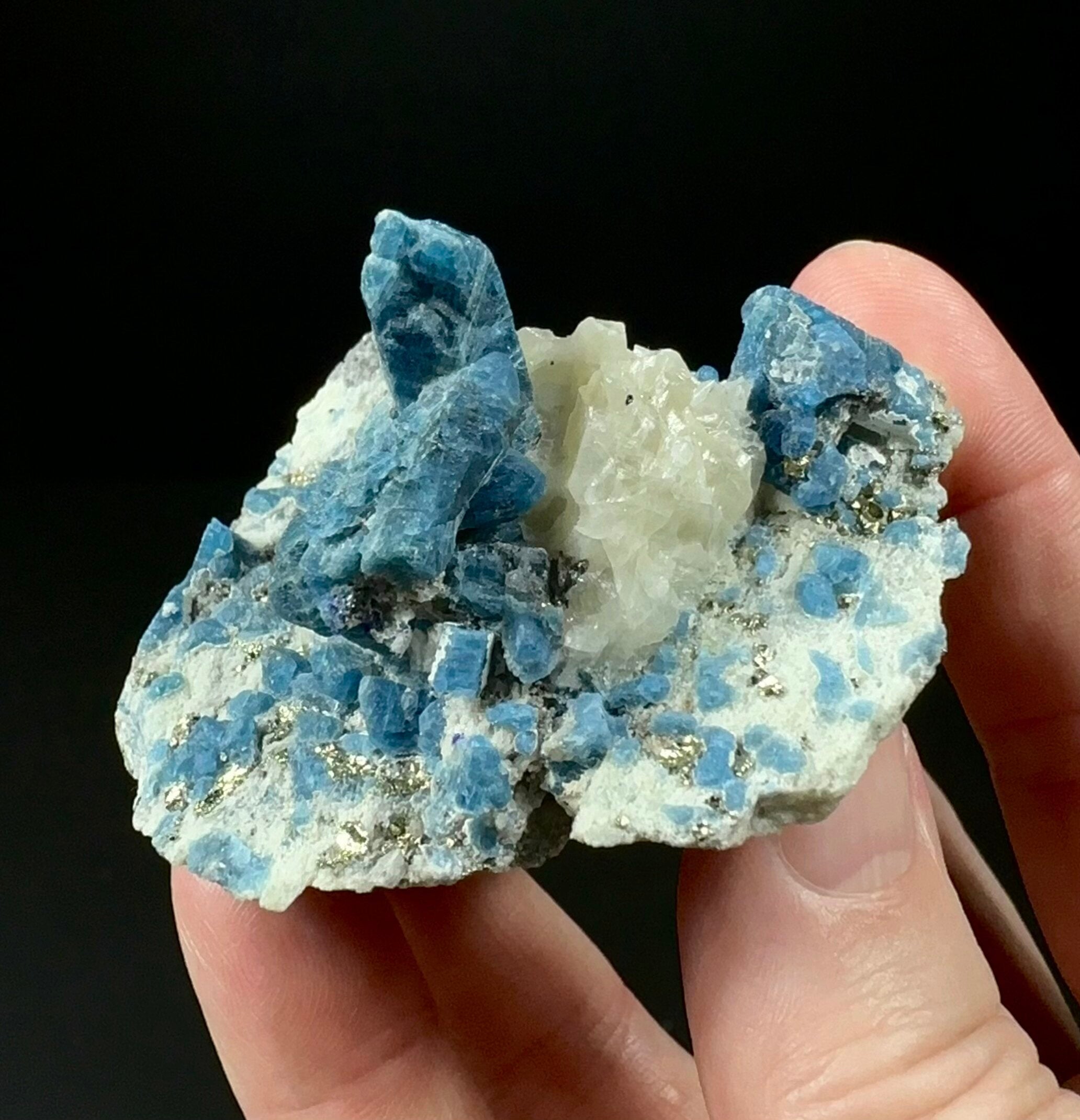 UV Reactive Blue Sodalite / Hauyne with Calcite & Pyrite on Marble Matrix - Terminated Crystals