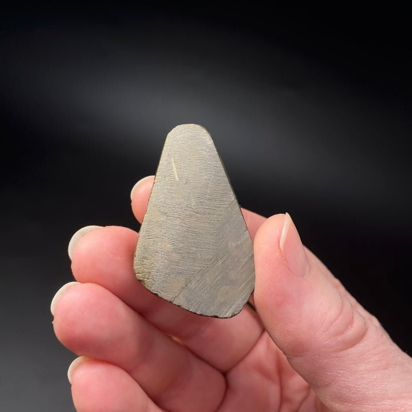 Canadian Korite Ammolite Hand Specimen