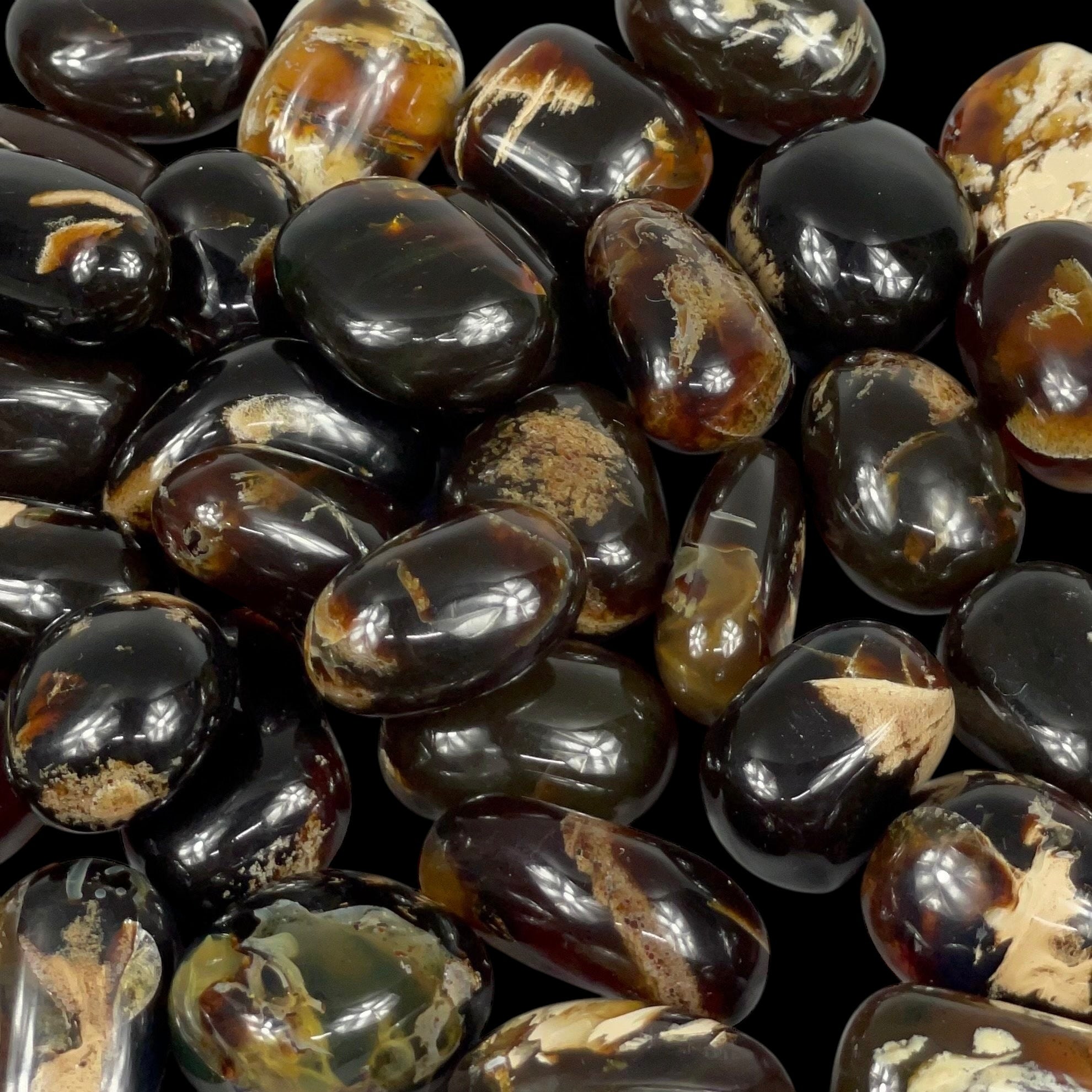 ONE Sumatran Amber Tumbled Stone, Two Sizes Available