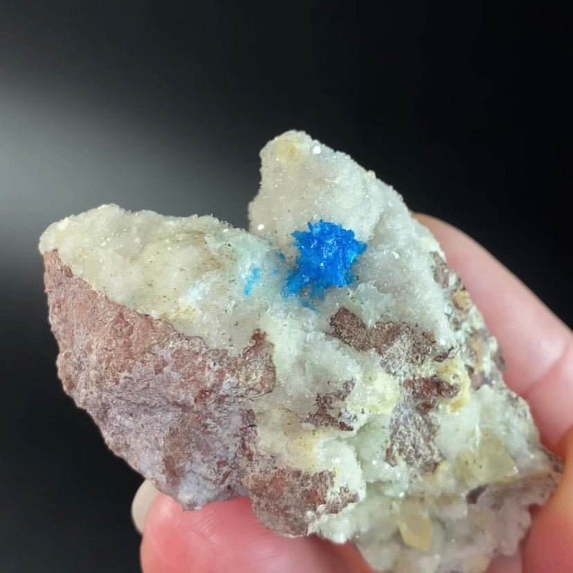 Vibrant Blue Cavansite / Pentagonite Cluster with Phosphorescent Calcite Crystals on Druzy Stilbite Over Basalt Matrix