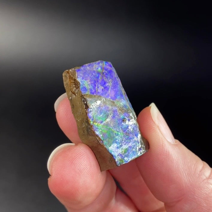 Purple and Green Canadian Korite Ammolite Hand Specimen