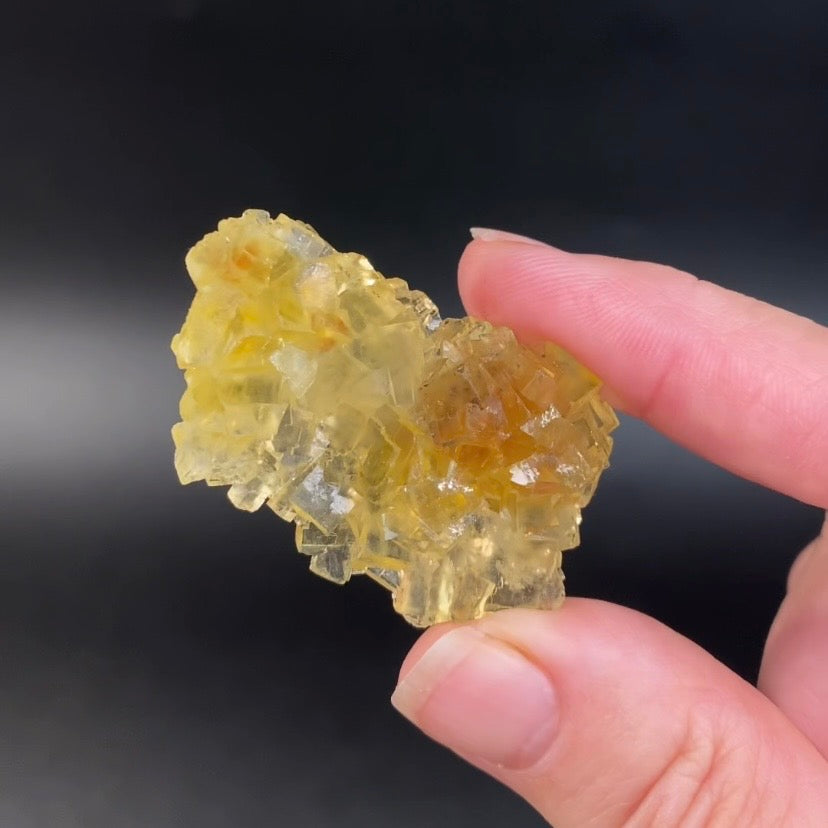 Yellow Moscona Cubic Fluorite Cluster from Asturias Spain - Phosphorescent