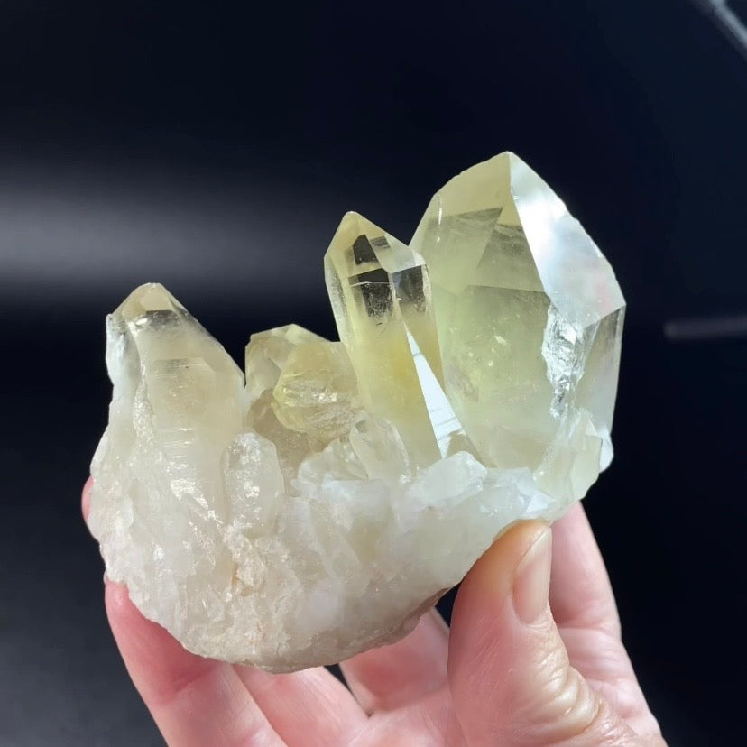 Natural Golden Citrine Quartz Cluster with Dow & Generator Crystals