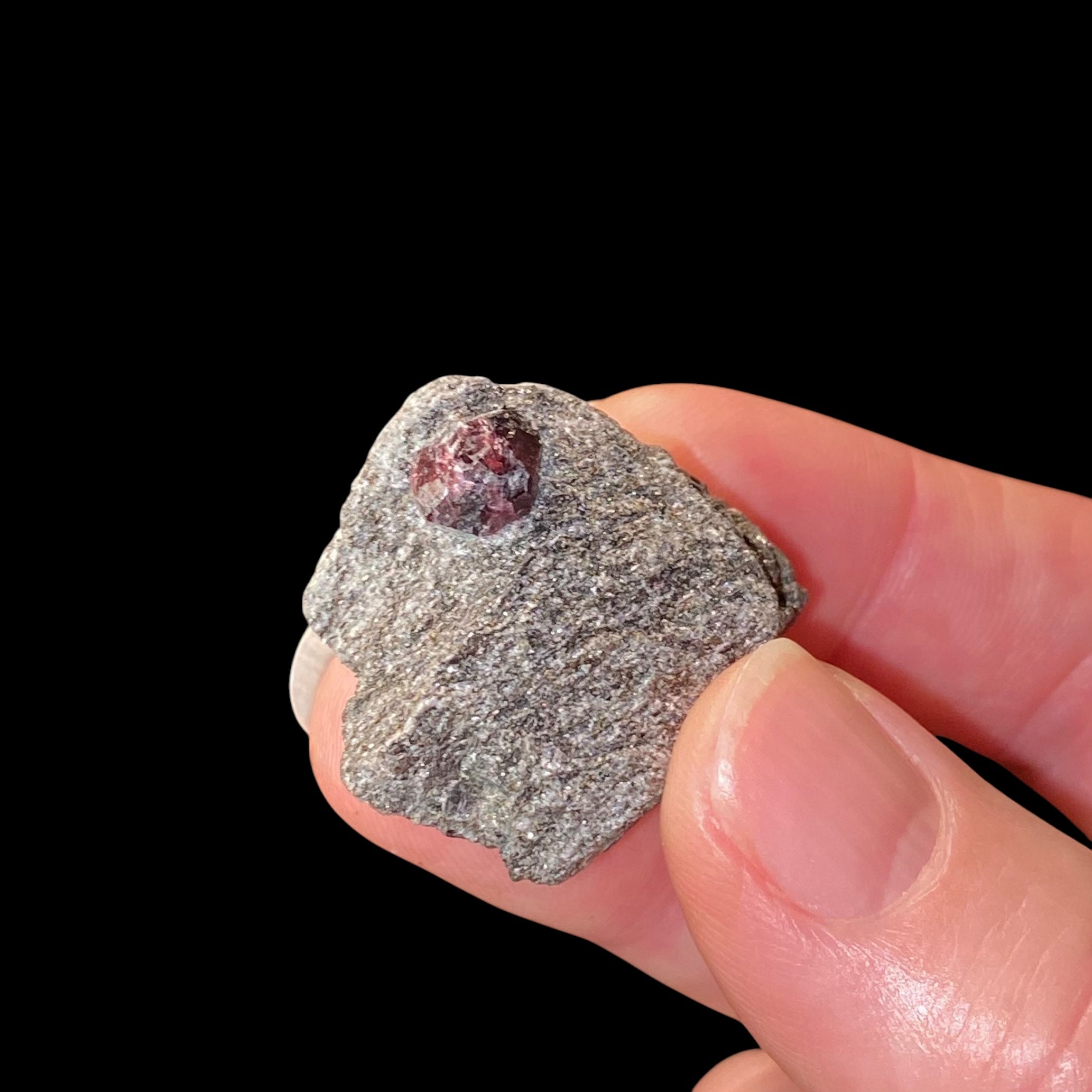 Almandine Garnet in Mica Schist, From the Famous Garnet Ledge, Wrangell, Alaska