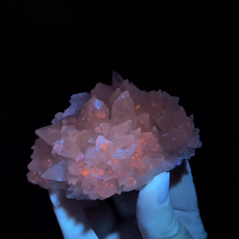 Scalenohedral DogTooth Calcite on Blue Purple Fluorite Matrix, UV Reactive, Fluorescent