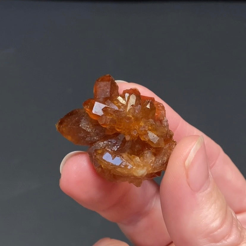 Floater Citrine Colored Honey Brown Quartz Flower Cluster - Midelt, Morocco