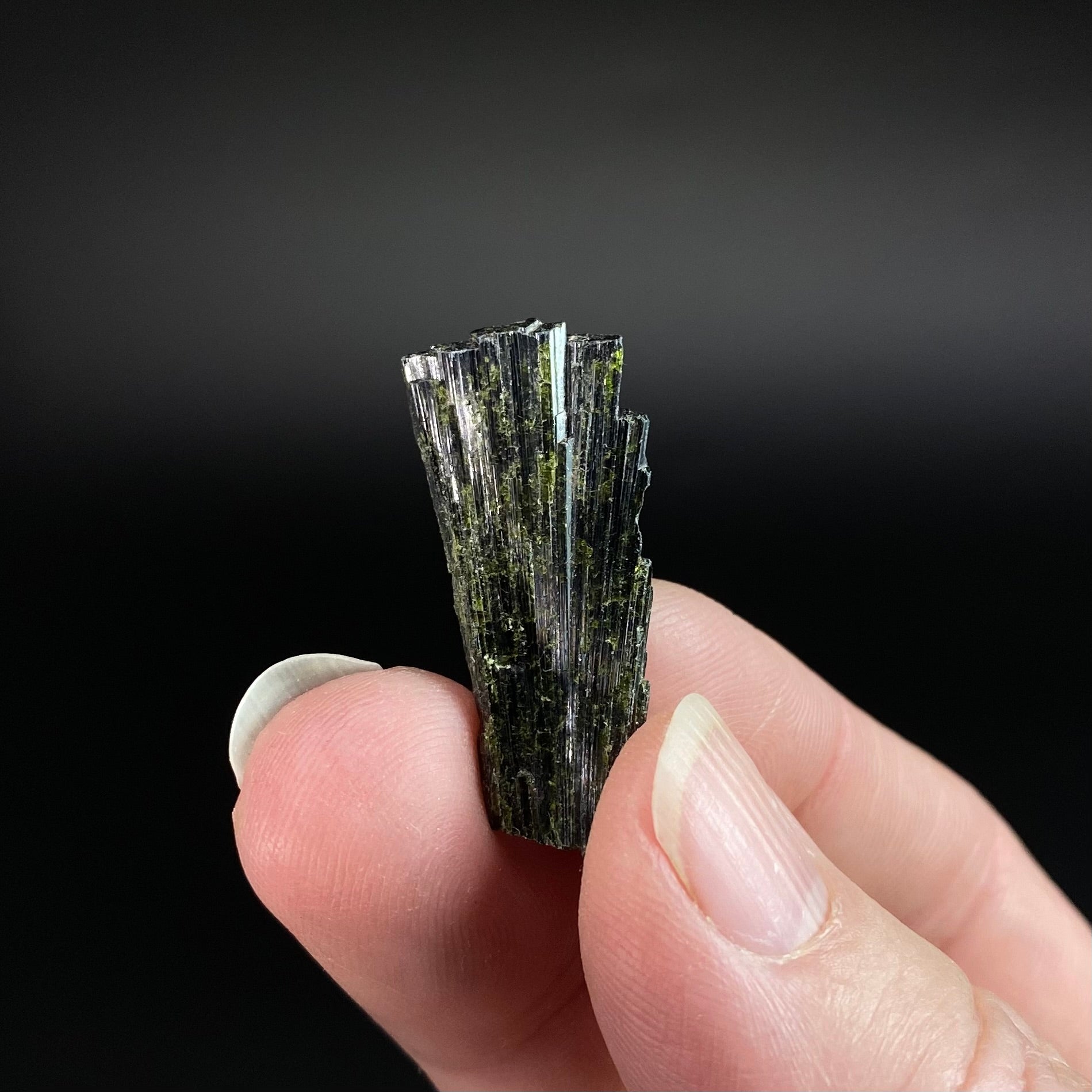ONE Epidote Fan Crystal Cluster