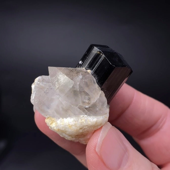 High Grade Black Tourmaline Schorl Crystal with Natural Termination on Smoky Quartz