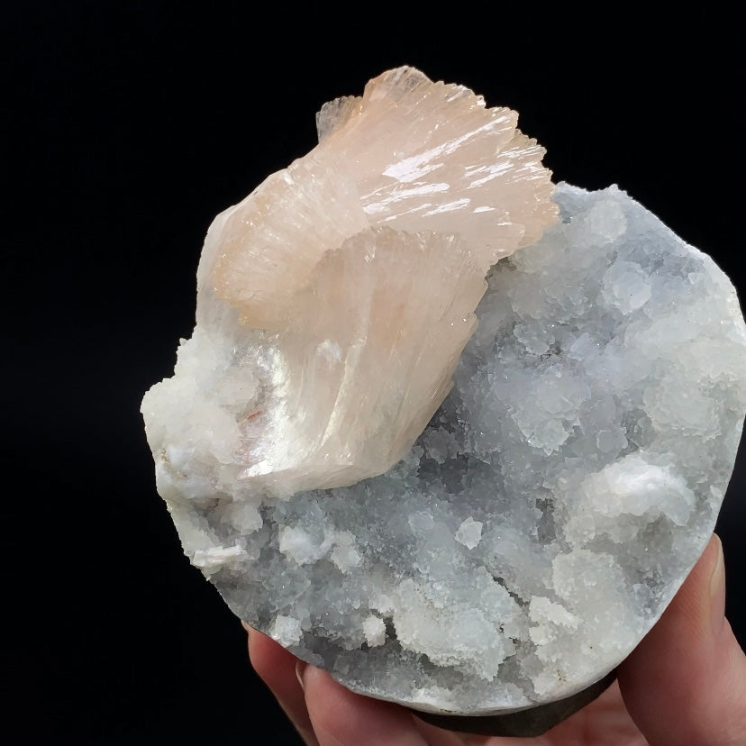 Light Pink Gemmy Heulandite & Minor Mordenite on Chalcedony in a Trimmed Basalt Pocket