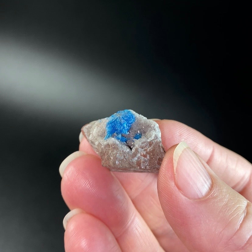 Vibrant Blue Cavansite / Pentagonite & Stilbite on Basalt Matrix