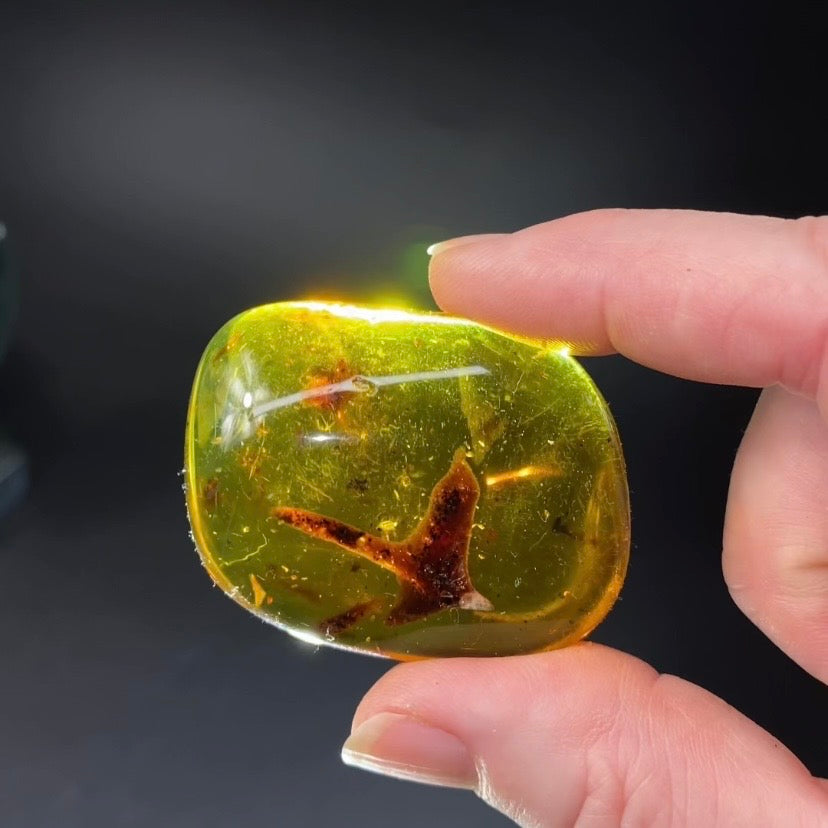 Polished Amber with Inclusions from Cimitarra, Colombia