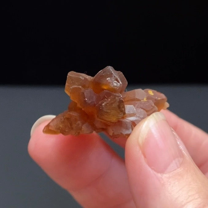 Floater Citrine Colored Honey Brown Quartz Flower Cluster - Midelt, Morocco