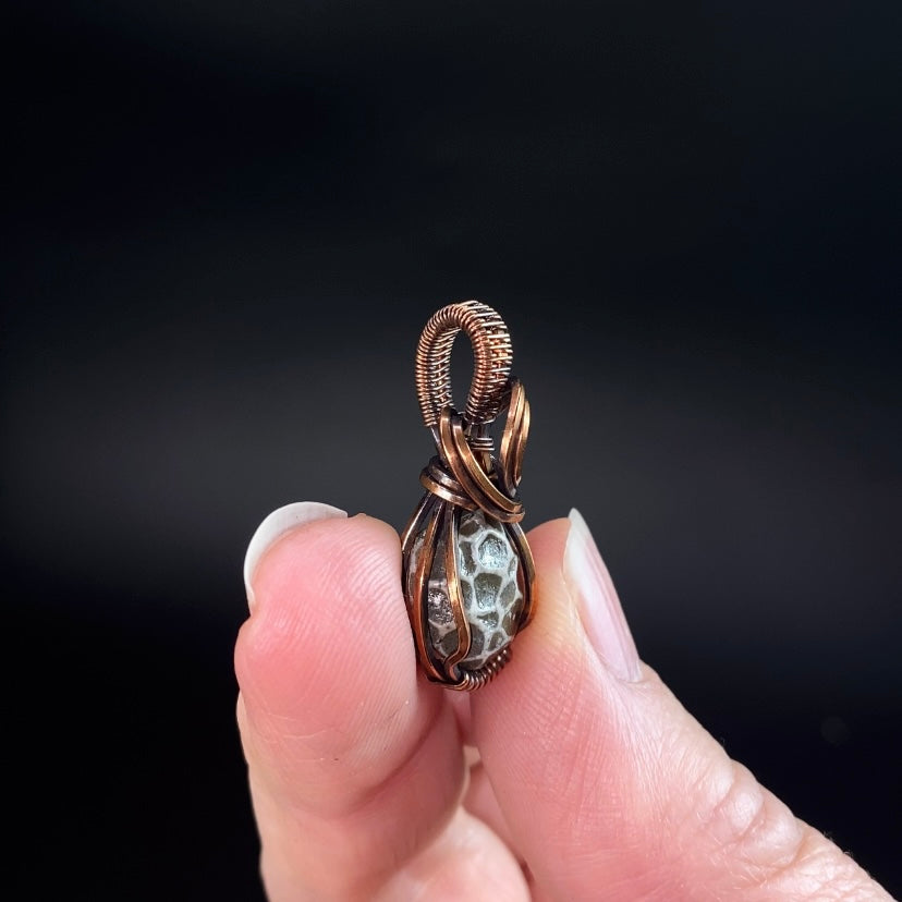 Fossilized 380 Million Year Old Pleurodictyum Coral & Copper Wire Wrapped Pendant