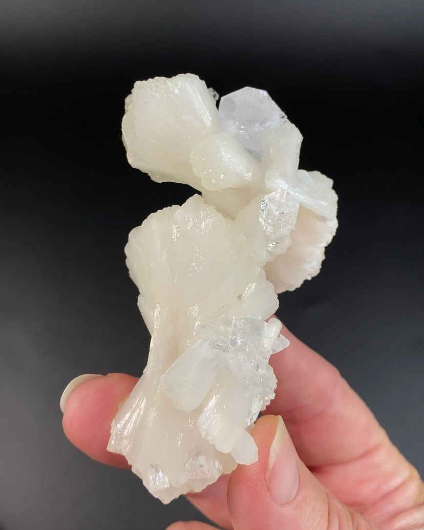 White Stilbite Bow Tie Cluster with Clear Apophyllite Crystals