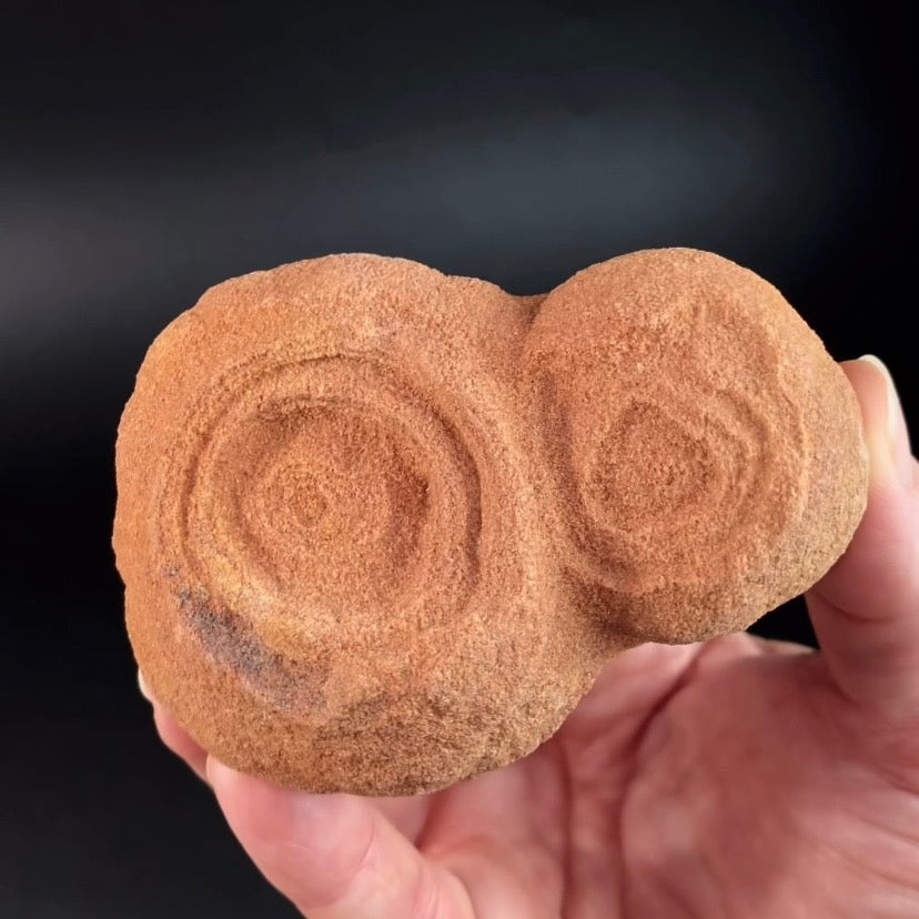 Desert Onion Pseudo Stromatalite from Morocco