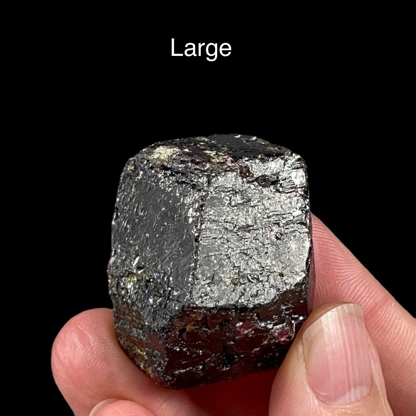 ONE (1) Almandine Garnet Crystal - 4 Sizes Available