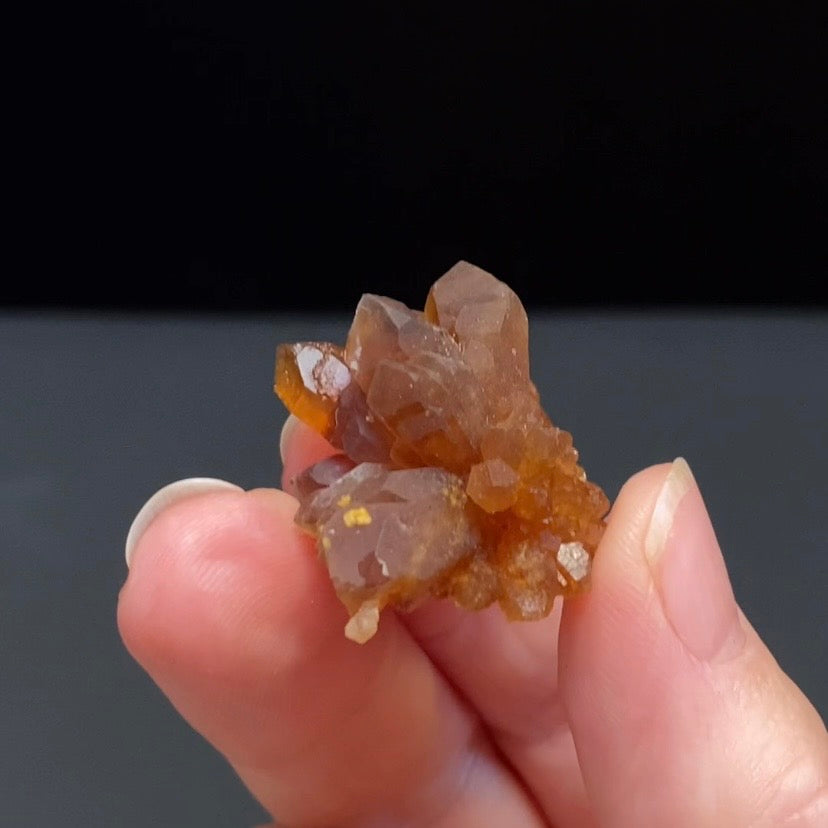 Floater Citrine Colored Honey Brown Quartz Flower Cluster - Midelt, Morocco