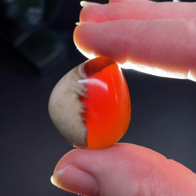 Sumatran Zebra Amber Tumble, Natural Fossil Amber with Intricate Caramel Patterning