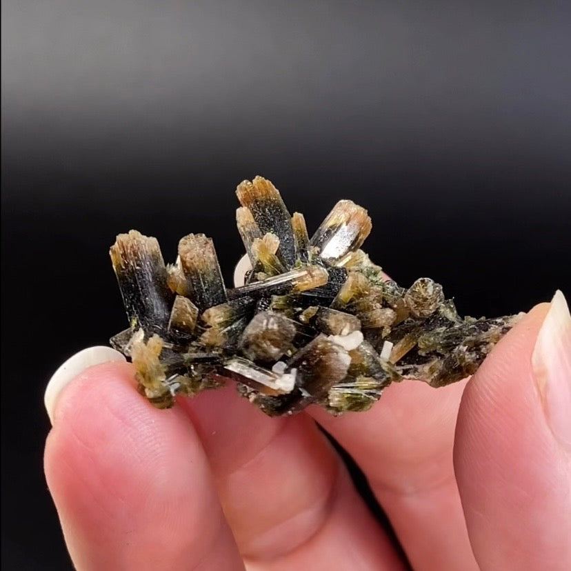 Etched Tip Bi-Color Epidote Crystal Cluster