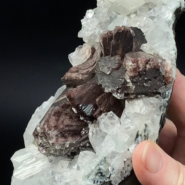 Rare Brown Heulandite Fans with Clear Apophyllite Crystals & Stalactite Chalcedony in a Trimmed-out Pocket of Volcanic Basalt Matrix