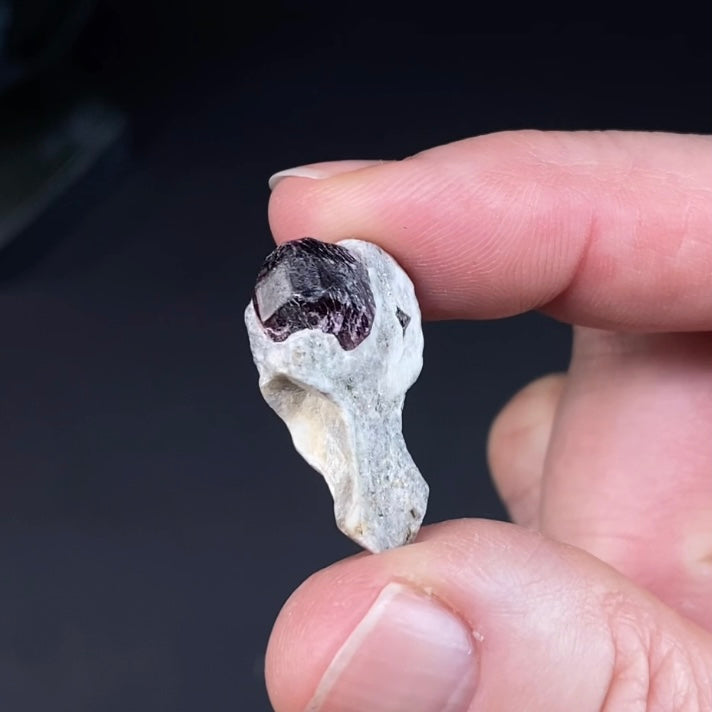 Red Garnet Crystal on Mica Schist Specimen from Pakistan