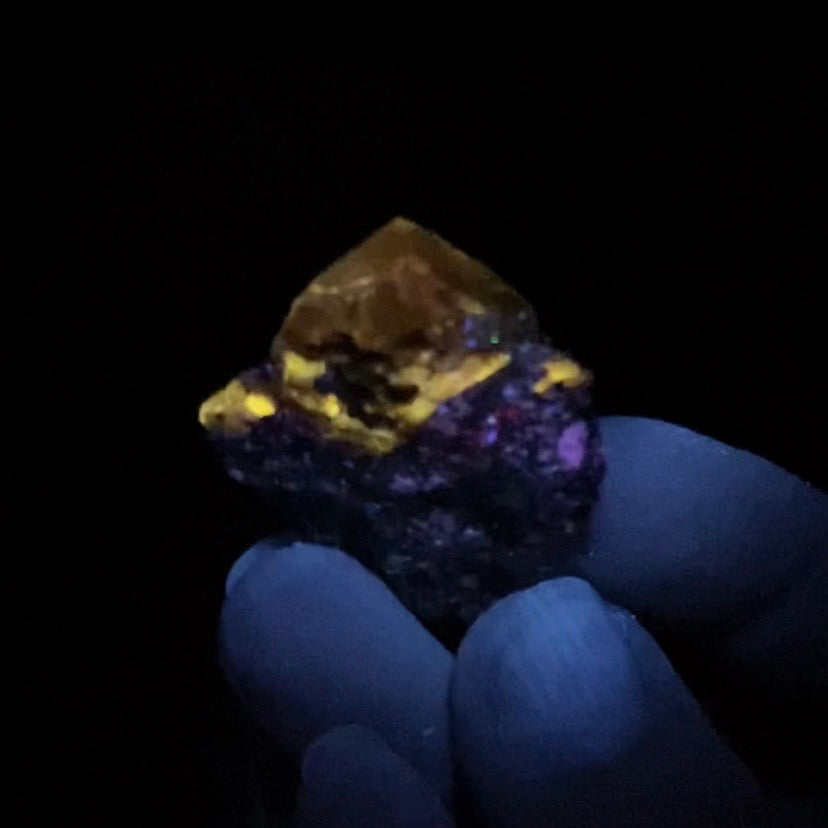 Zircon Crystal with Fluorescent Apatite Inclusions, Biotite-Calcite Schistose matrix, Astore Valley, Pakistan