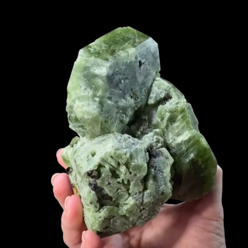 Diopside Crystal Cluster with Phlogopite & Calcite