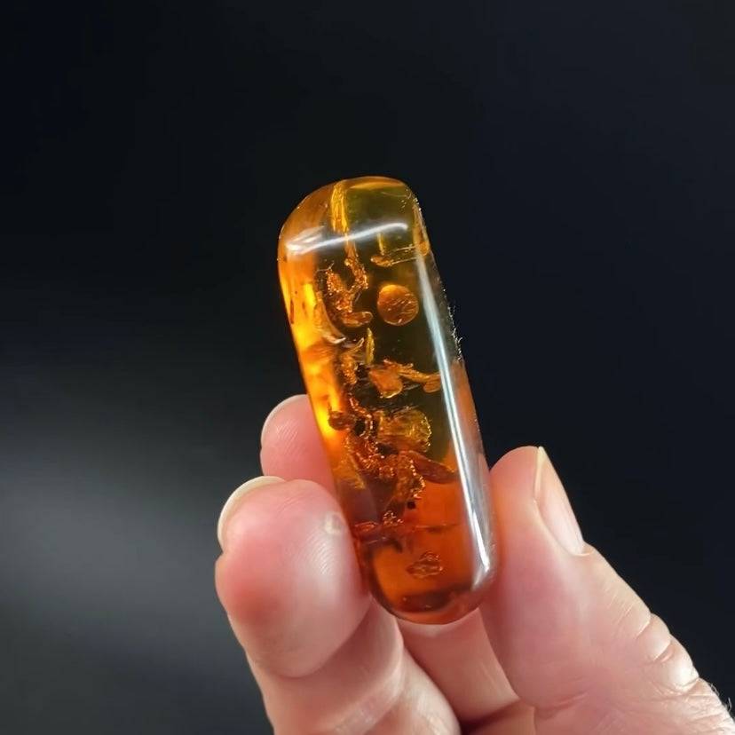 Polished Colombian Amber with Inclusions from Cimitarra, Fluorescent