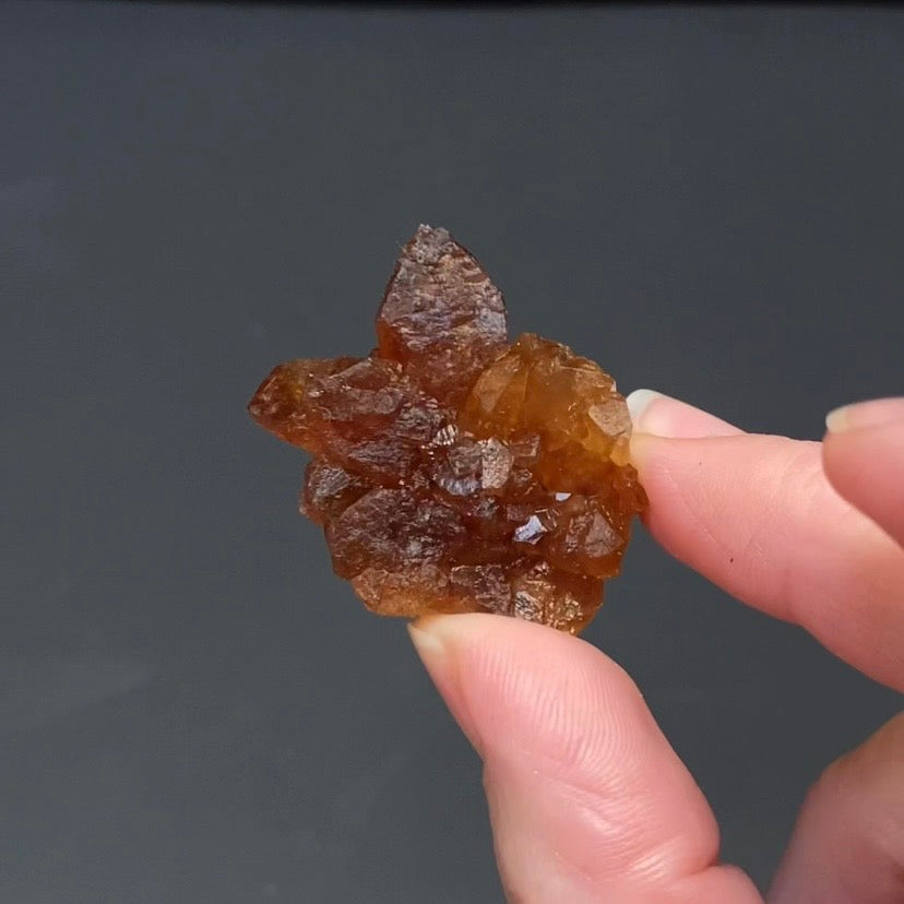 Floater Citrine Colored Honey Brown Quartz Flower Cluster - Midelt, Morocco