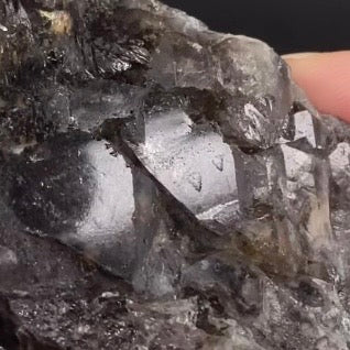 Smoky Elestial Quartz with Record Keepers from Minas Gerais, Brazil