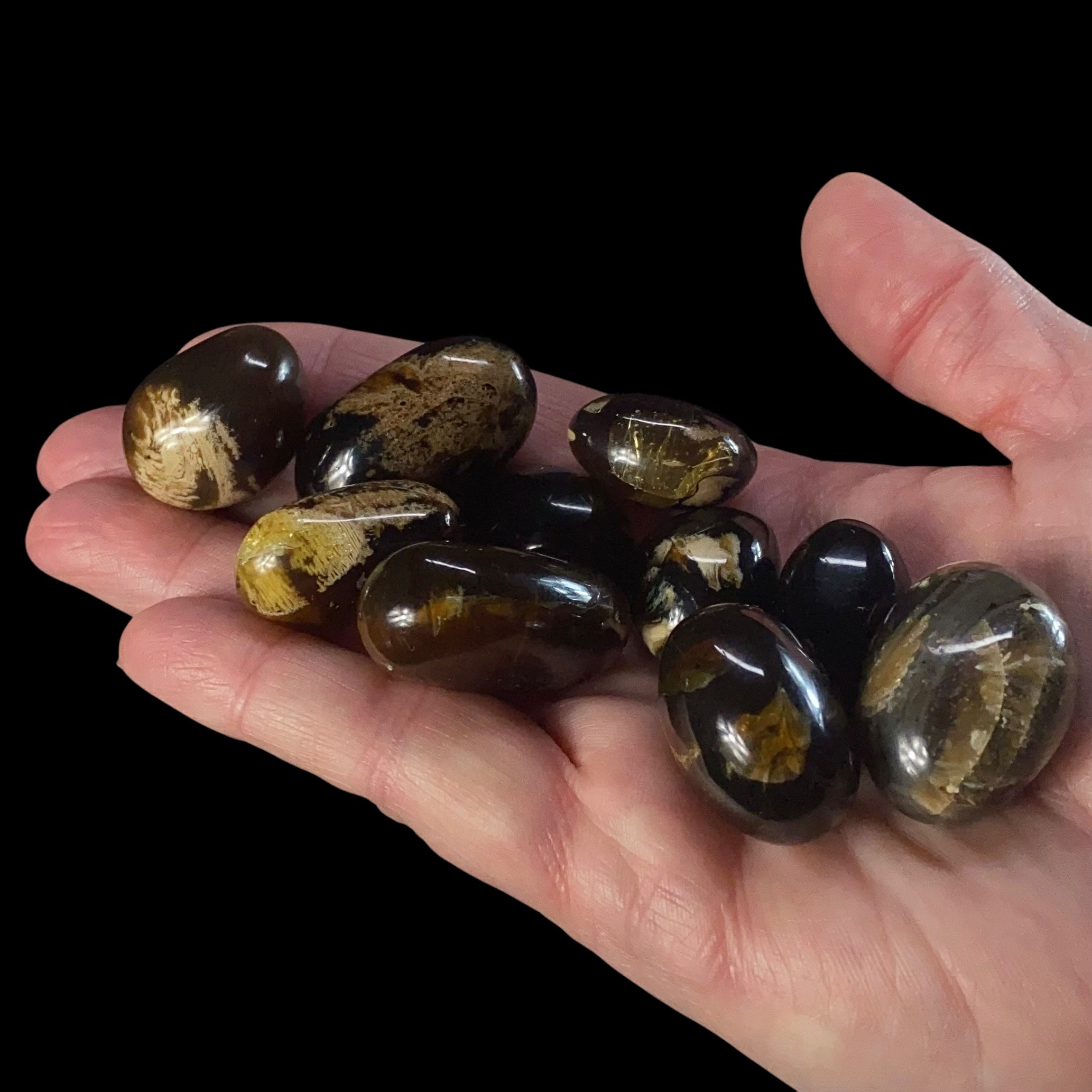 ONE Sumatran Amber Tumbled Stone, Two Sizes Available