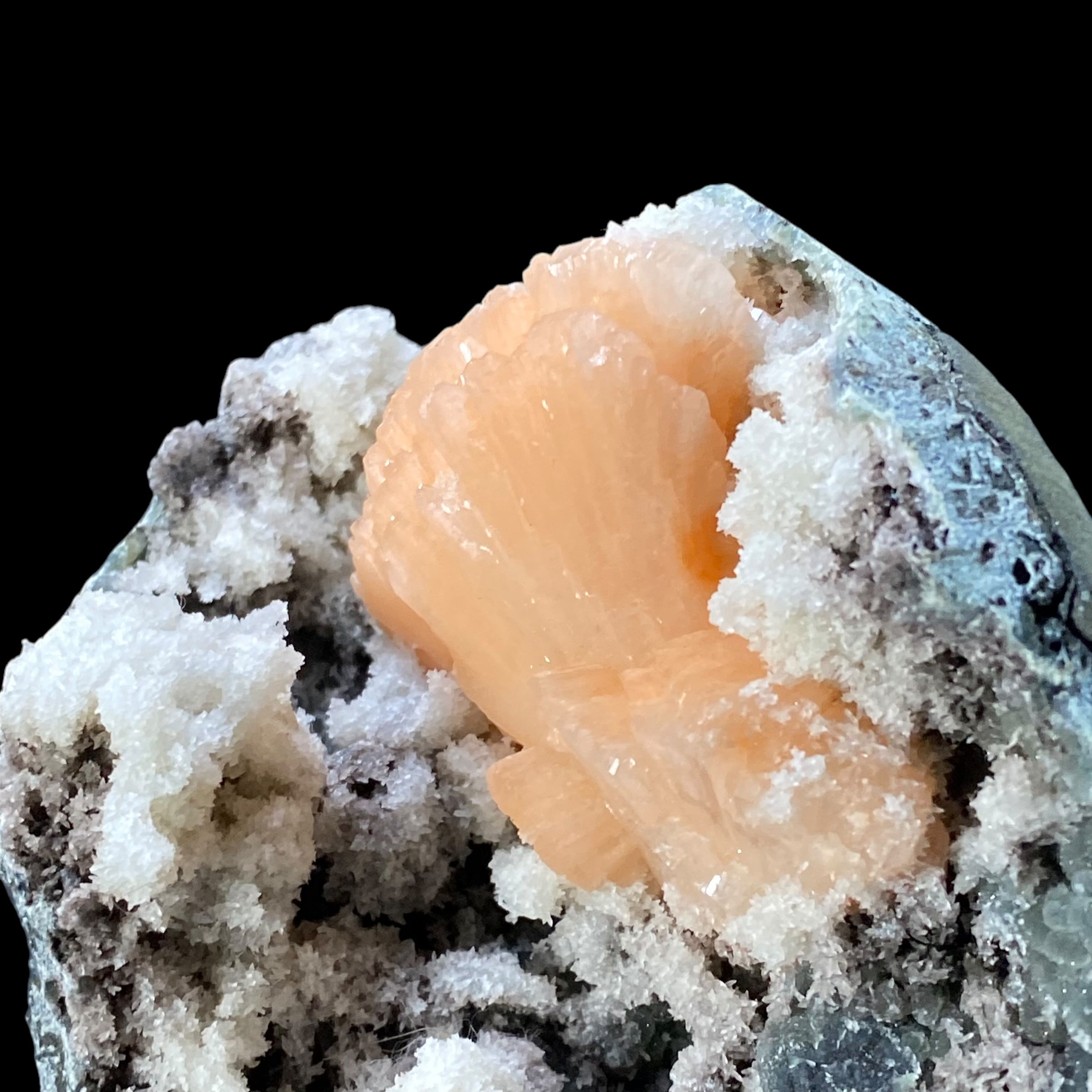 Pink Heulandite Fan Cluster with Apophyllite Crystals & Chalcedony in a Trimmed Pocket of Volcanic Basalt Matrix