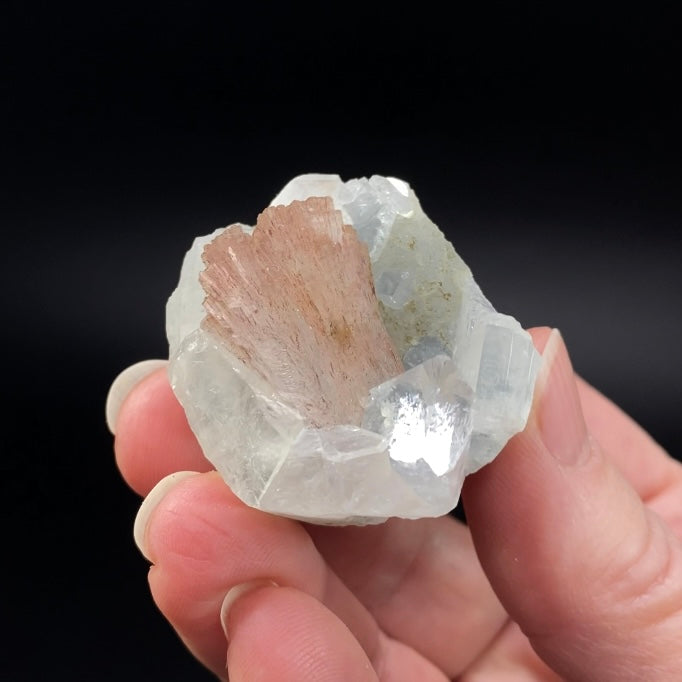 Pink Heulandite Fan with Clear Apophyllite Crystals in a Trimmed-out Pocket of Volcanic Basalt Matrix