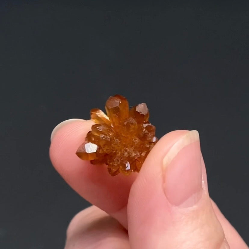 Floater Citrine Colored Honey Brown Quartz Flower Cluster - Midelt, Morocco