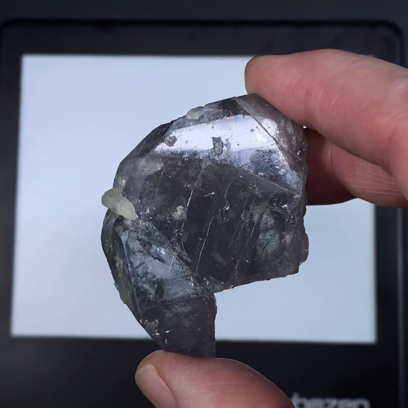 Lavender Gray Apatite Crystal with Actinolite Inclusions