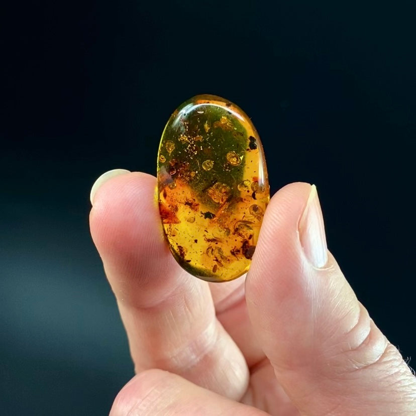 Polished Amber with Inclusions from Cimitarra, Colombia