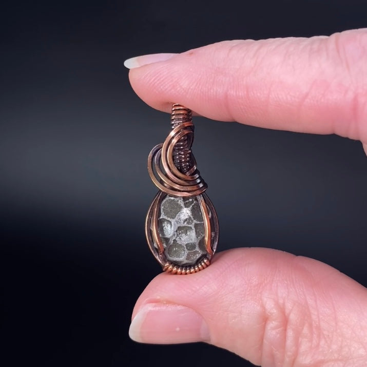 Fossilized 380 Million Year Old Pleurodictyum Coral & Copper Wire Wrapped Pendant
