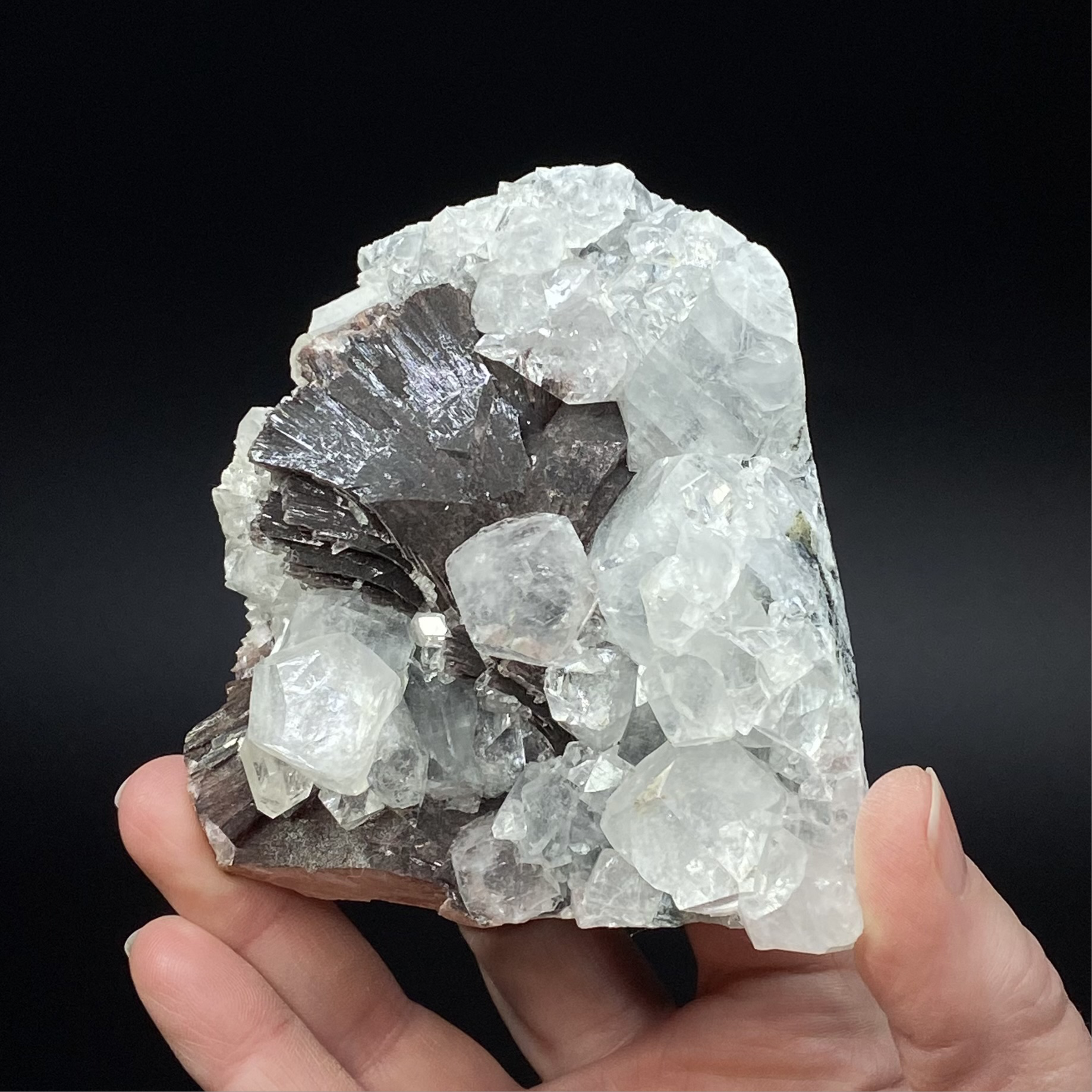 Rare Red-Brown Heulandite Fans with Clear Apophyllite Crystals in a Trimmed-out Pocket of Volcanic Basalt Matrix