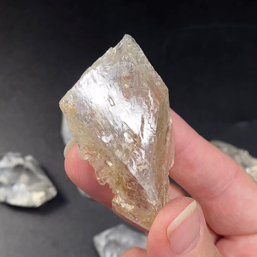 Fenster Quartz Crystal with Multiple Record Keepers