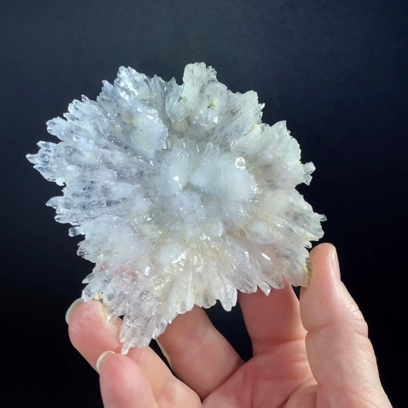 Amethyst Crystal Flower from Ametista do Sul, Brazil