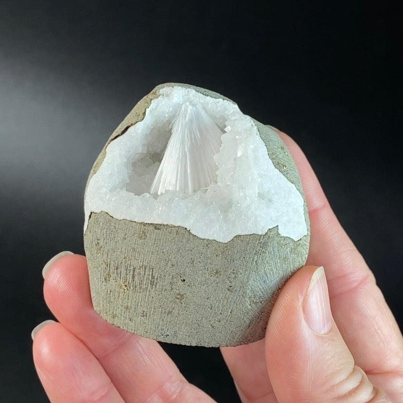 Scolecite with Apophyllite & Stilbite in Trimmed Basalt Geode Pocket