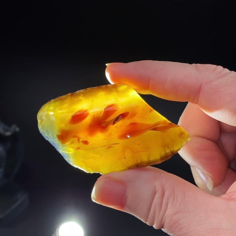 High Grade Sumatran Blue Amber Polished Display Face and Raw Exterior