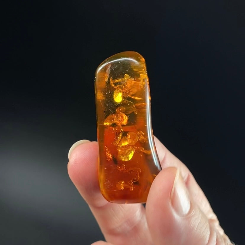 Polished Colombian Amber with Inclusions from Cimitarra, Fluorescent