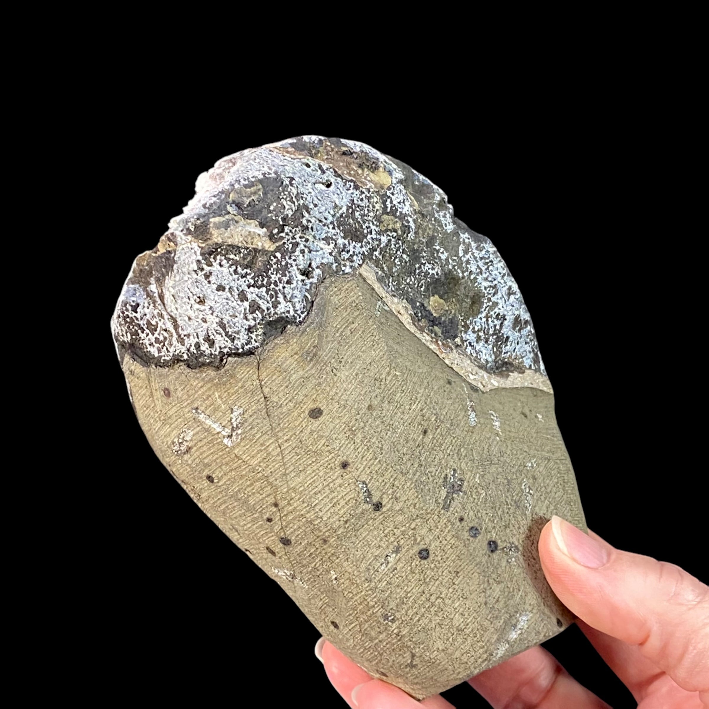 Pink Heulandite Fan Cluster with Apophyllite Crystals & Chalcedony in a Trimmed Pocket of Volcanic Basalt Matrix